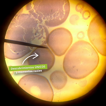 MicroZoom Kids™ - Microscopio portátil para niños